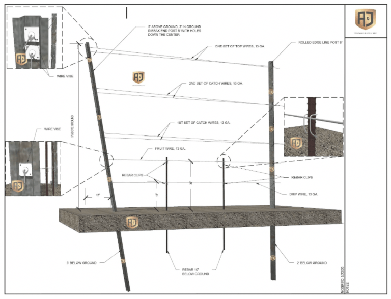 Read more about the article Trellis Construction 101: Building a Basic Winegrape Trellis