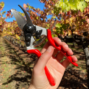 Left Handed Pruning Shear from A&J Vineyard Supply