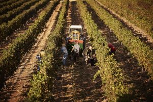 Read more about the article Straw Wattles 101 – The Effective Tool for Preventing Soil Erosion