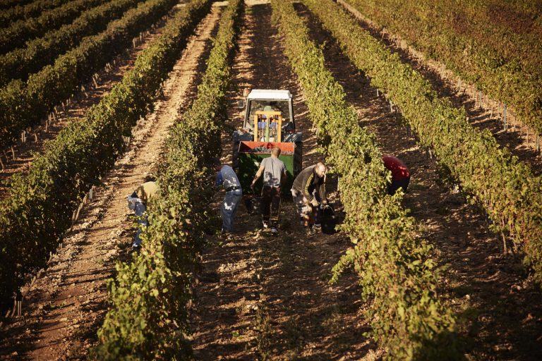 Read more about the article Straw Wattles 101 – The Effective Tool for Preventing Soil Erosion