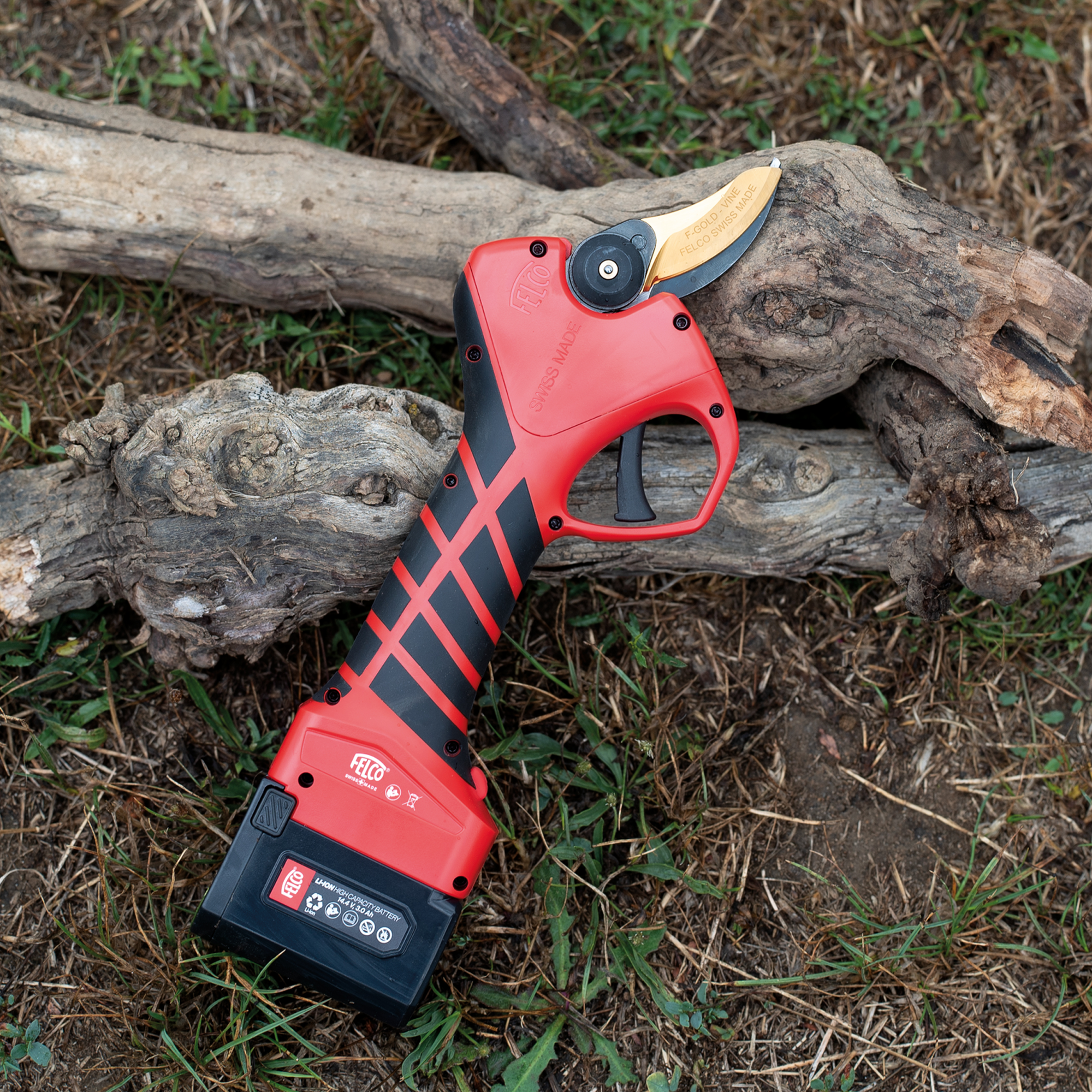 PRUNING_F-PRUNER-834 3