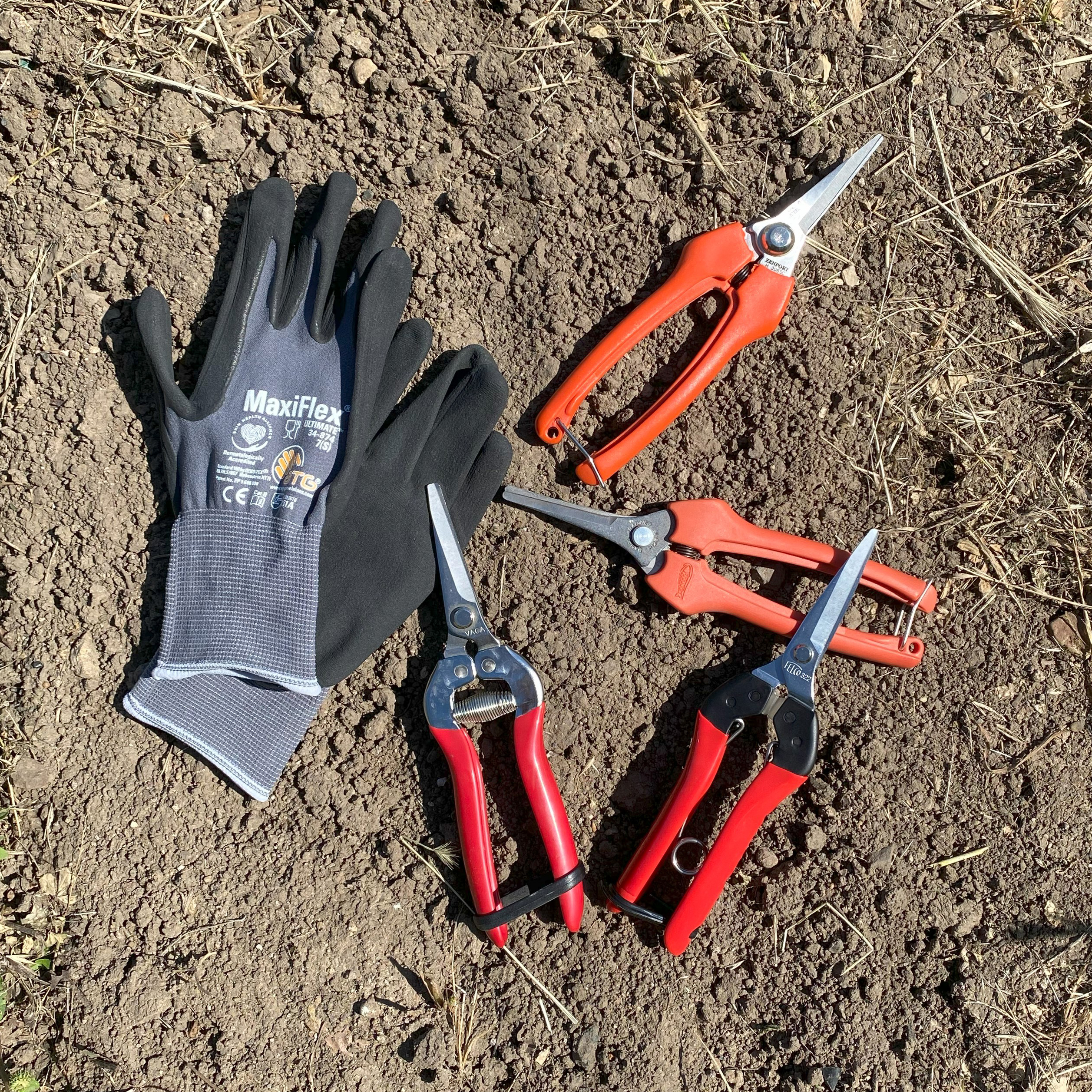 Thinning Shears and Gloves 4.28 (5)