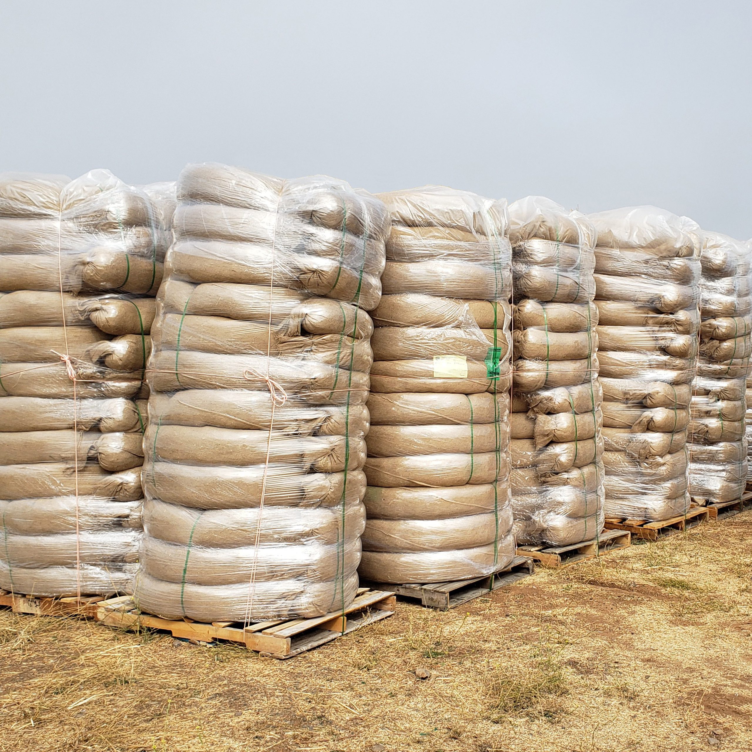 20230906_102406_EDITED_SQR