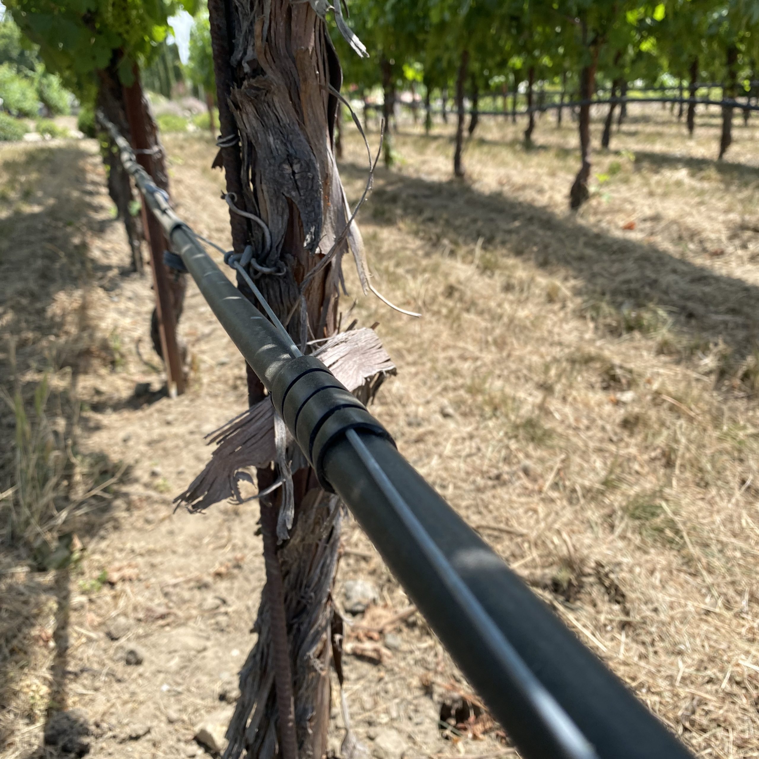 K-Curls behind Tre Posti-1_SQR