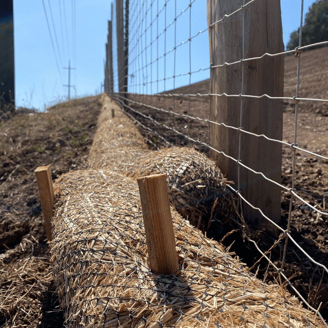 Straw Wattle Silverado Trail-03-SQR