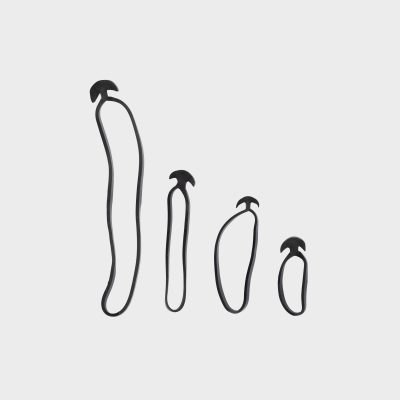 Bandofix Rubber Ties