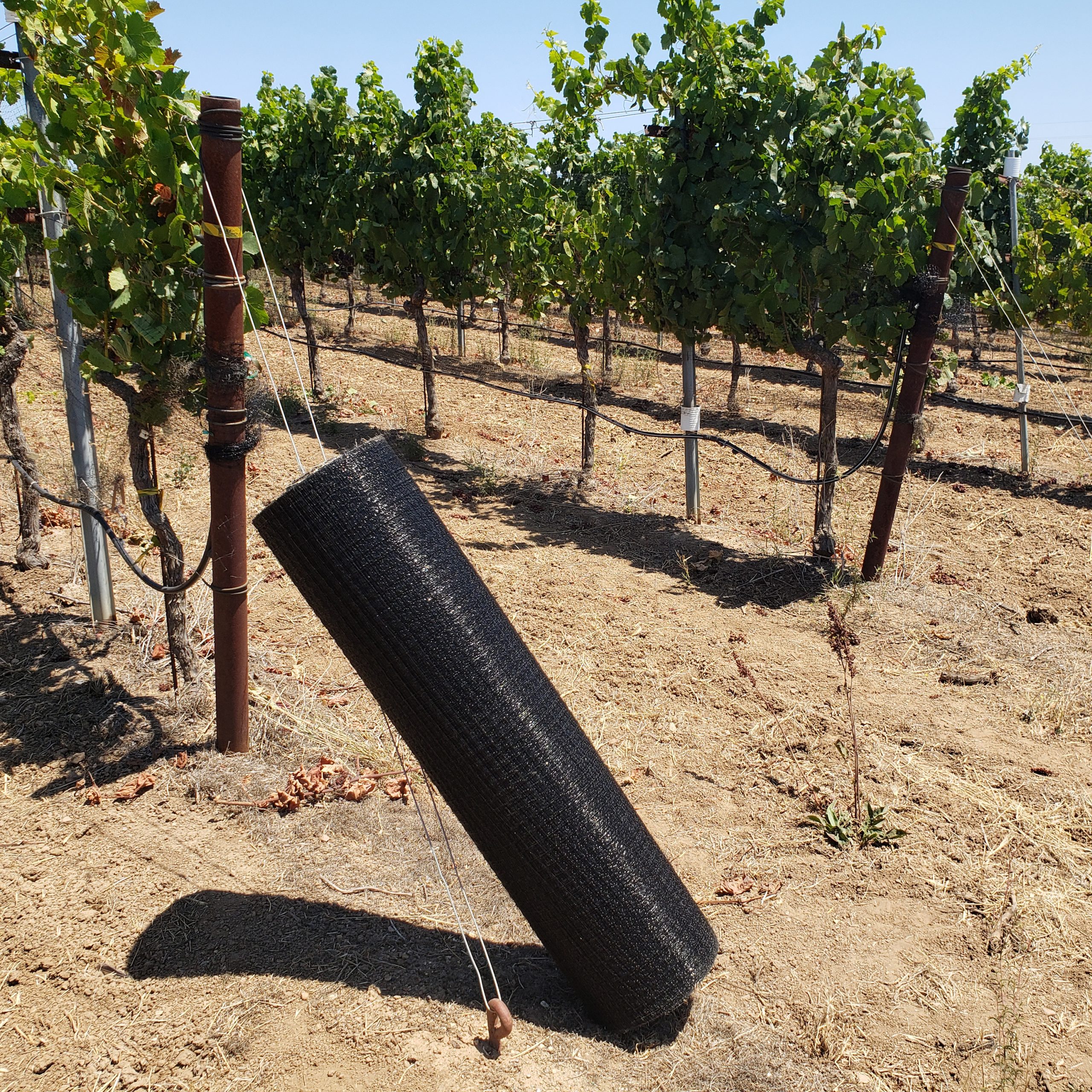 Narrow Bird Netting Roll — 42 in × 5000 ft - Image 2