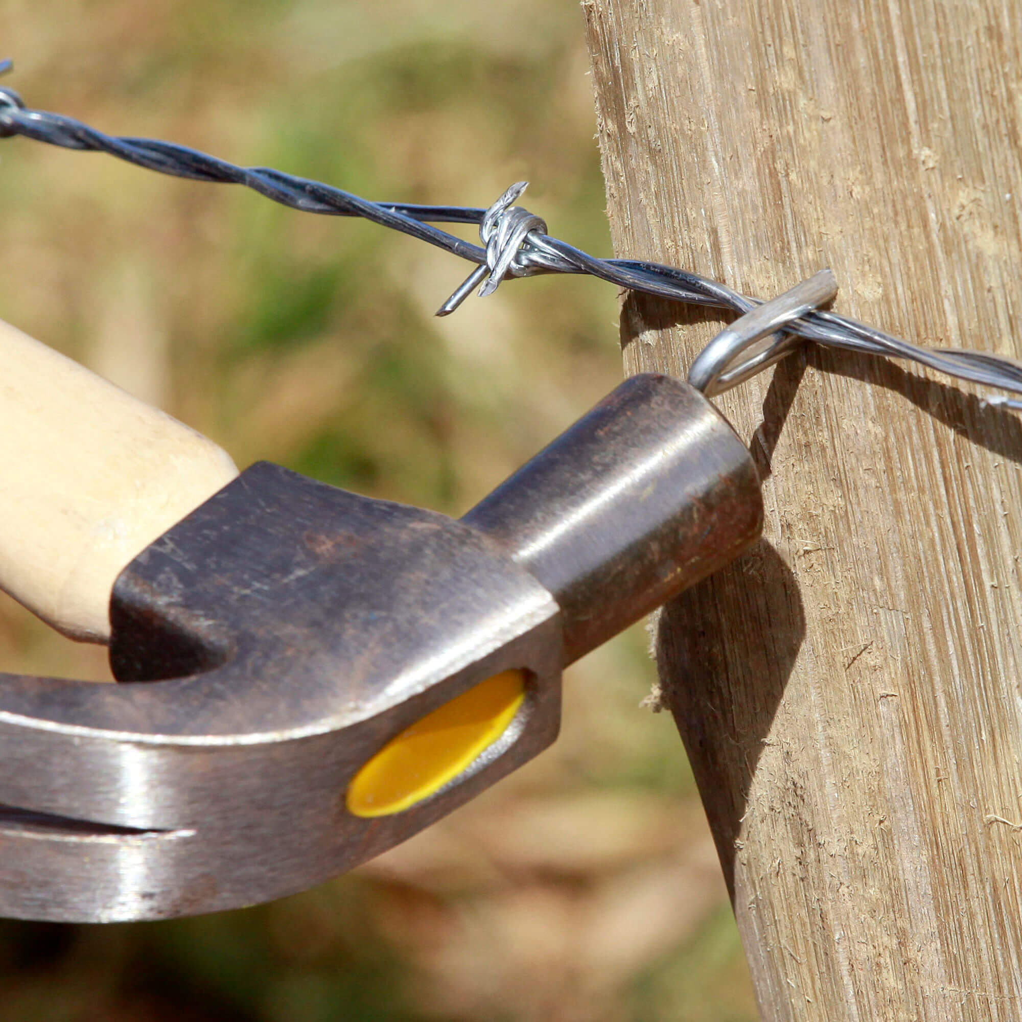 Barbed Fence Staples - Image 6