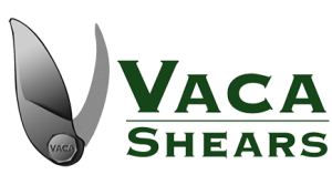 Vaca
