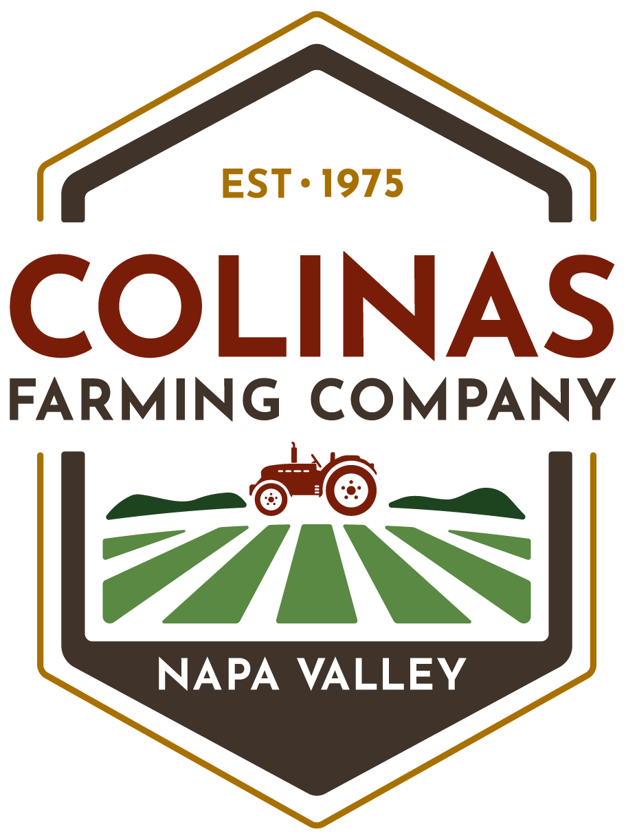 Colinas logo