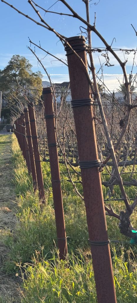 Vineyard row ends