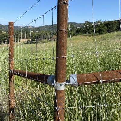 Fencing