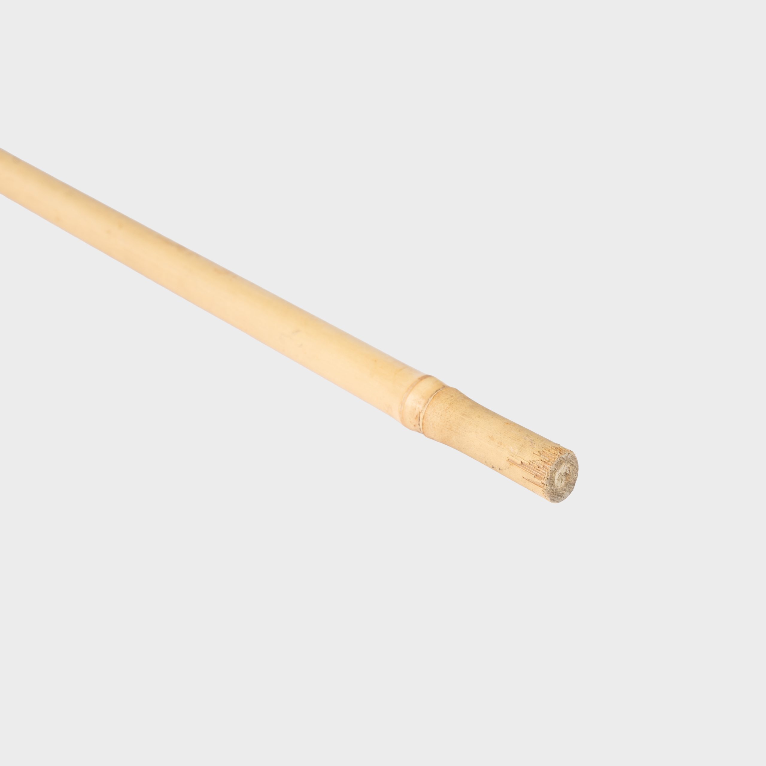Bamboo Training Stakes